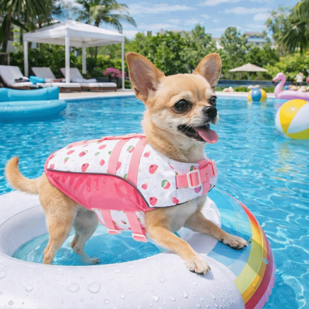 Life Jacket Buoyancy - Adjustable Dog Life Jacket High Buoyancy