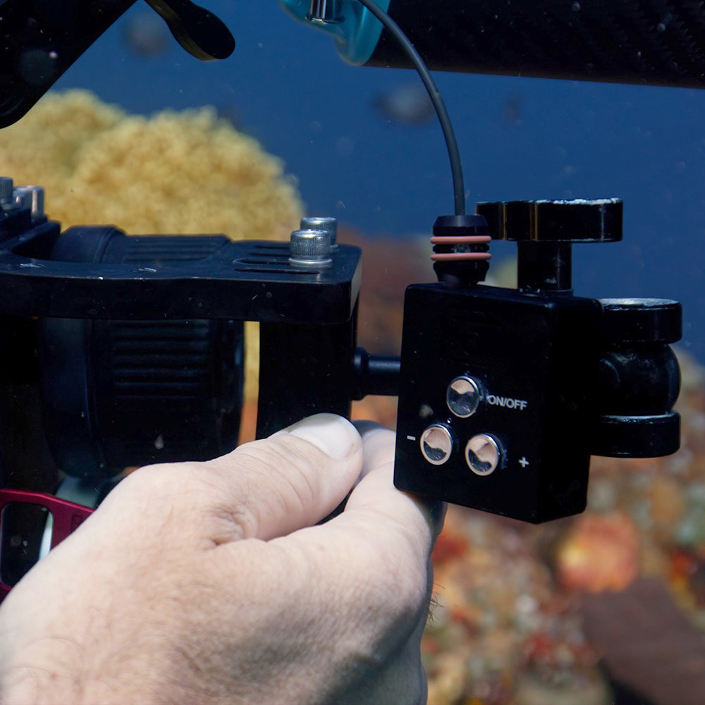 DIVEVOLK SL50 SL120 Underwater - đánh giá và giá Underwater Flashlight