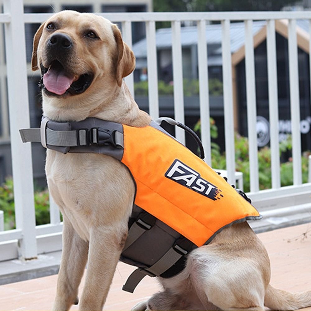 Adjustable Pet Swimming Life J - đánh giá và giá Life Jacket Buoyancy
