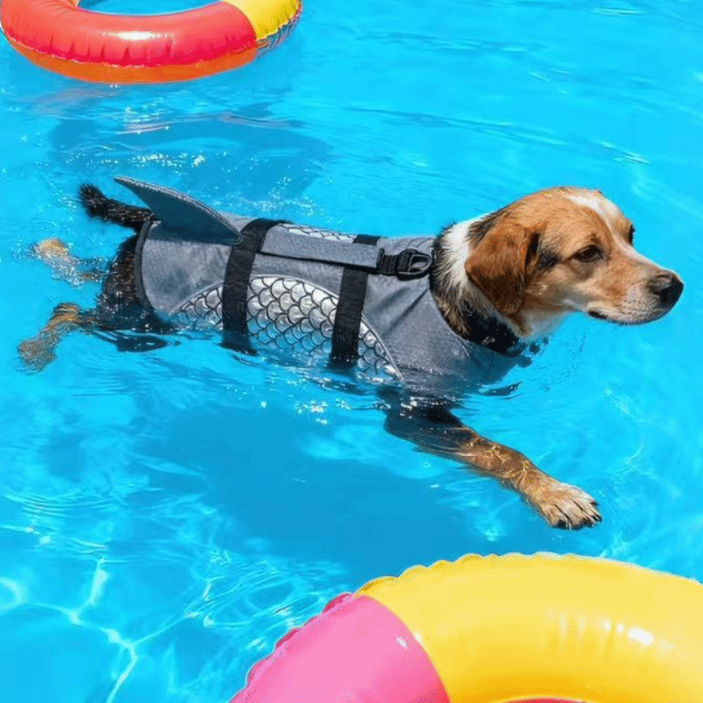 Strong Buoyancy Dog Life Jacke - đánh giá và giá Life Jacket Buoyancy